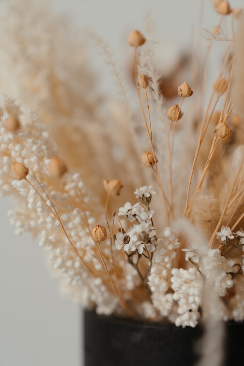 dried flowers droogbloemen